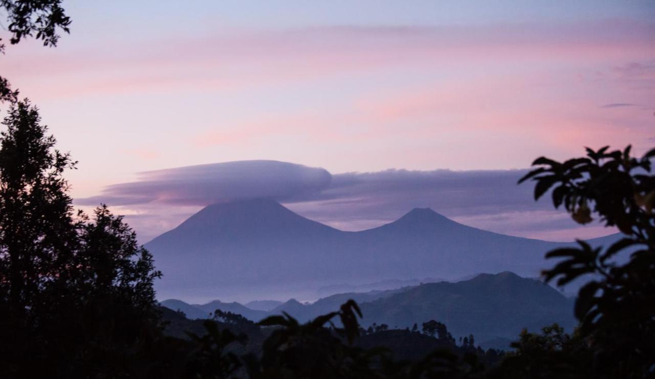 Clouds Mountain Gorilla Lodge Kisoro Extérieur photo